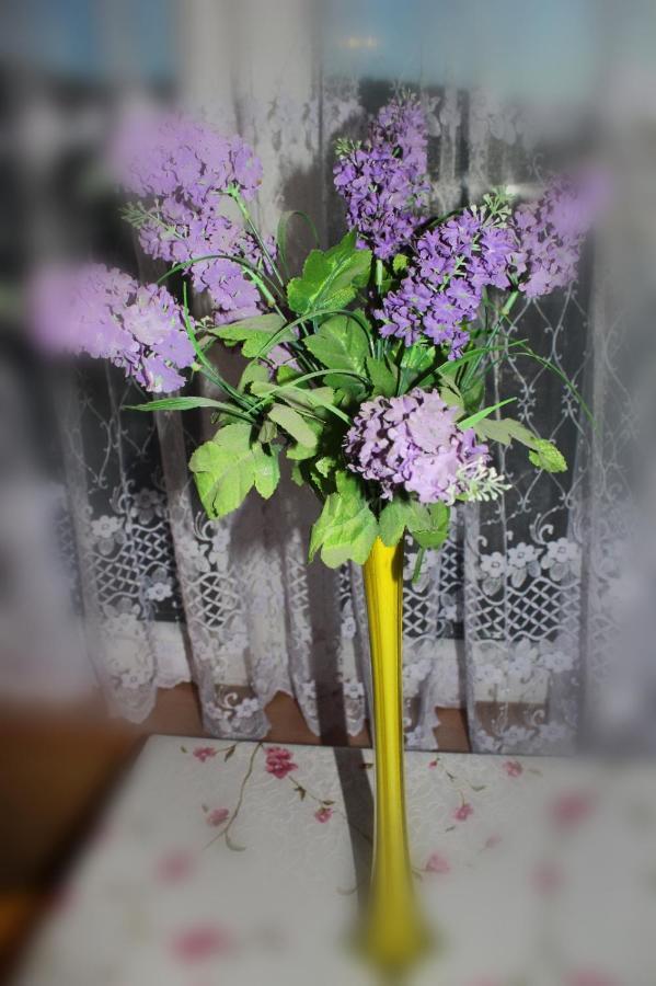 Pati Apartament Slonko Wisła Dış mekan fotoğraf